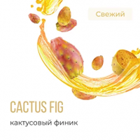 Табак для кальяна Element Вода Кактусовый Финик (25 г)
