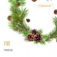 Табак для кальяна Element Земля Пихта (25 г)