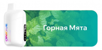 Одноразовый испаритель ONIQUE Горная Мята
