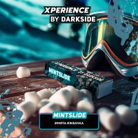 Табак для кальяна Dark Side XPERIENCE MINTSLIDE (25 г)