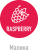 Табак сигаретный American Blend Raspberry (25 г)