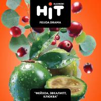 Табак для кальяна HiT FEIJOA DRAMA (30 г)