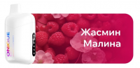 Одноразовый испаритель ONIQUE Жасмин Малина